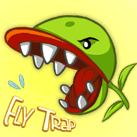 Fly Trap